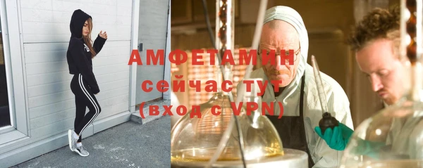 сатива Аркадак