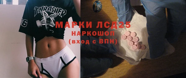 сатива Аркадак
