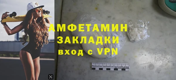 сатива Аркадак