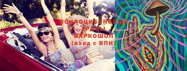 сатива Аркадак