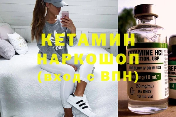 сатива Аркадак