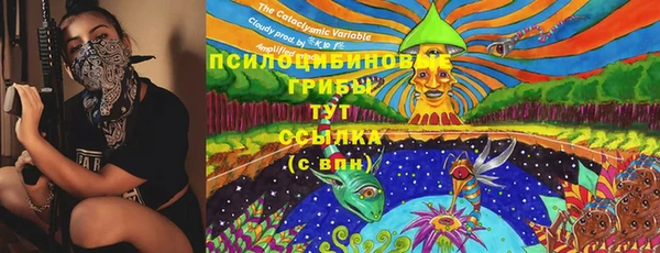 соль курить ск Арсеньев