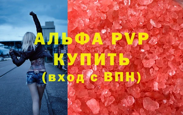 сатива Аркадак
