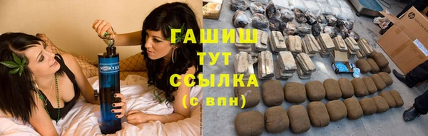 сатива Аркадак