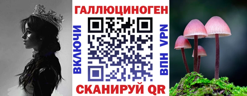 Псилоцибиновые грибы Magic Shrooms  хочу   сайты даркнета наркотические препараты  Рассказово 