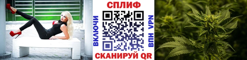 Конопля ГИДРОПОН Рассказово